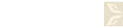 文物会说话